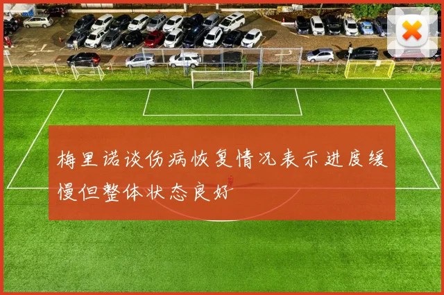 梅里诺谈伤病恢复情况表示进度缓慢但整体状态良好
