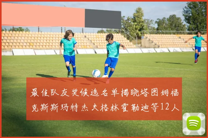 最佳队友奖候选名单揭晓塔图姆福克斯斯玛特杰夫格林霍勒迪等12人争夺荣耀