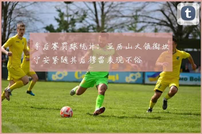 季后赛罚球统计：亚历山大领衔坎宁安紧随其后穆雷表现不俗