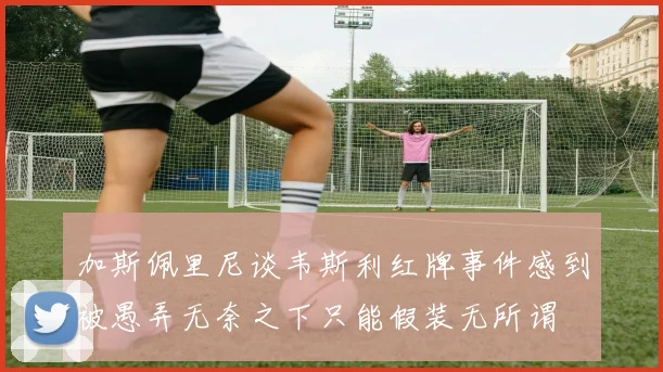 加斯佩里尼谈韦斯利红牌事件感到被愚弄无奈之下只能假装无所谓
